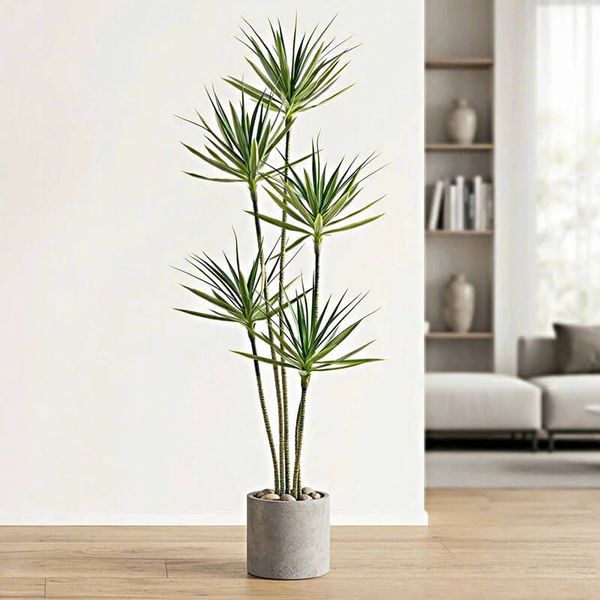 Cây phát tài giả 5 thân cao 180 cm