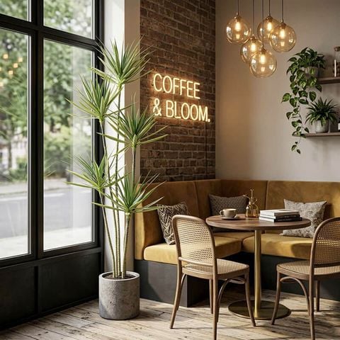 Cây phát tài giả 5 thân cao 180 cm