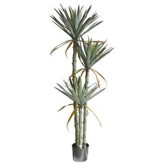 Cây phát tài Yucaa giả trang trí nội thất
