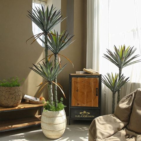 cây phát tài yucaa giả trang trí decor nội thất