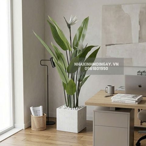 cây thiên điểu giả hoa trắng trang trí nội thấ