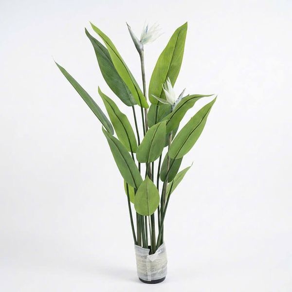 Cây thiên điểu giả hoa trắng trang trí nội thất