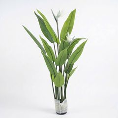 Cây thiên điểu giả hoa trắng trang trí nội thất