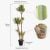 Cây Yucca chân voi giả trang trí với kích thước chi tiết cao 160 cm