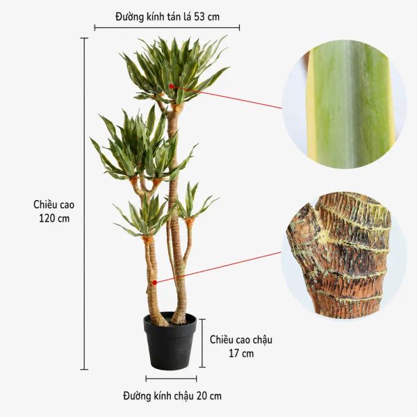 Cây Yucca chân voi giả trang trí