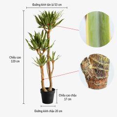 Cây Yucca chân voi giả trang trí