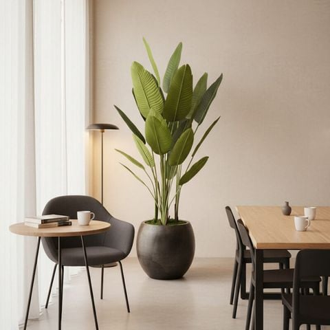 Chậu chuối giả trang trí cao 2 mét (kèm chậu)