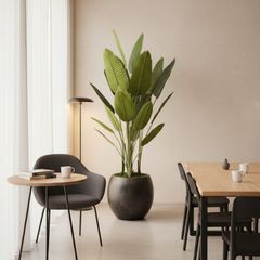 Chậu chuối giả trang trí cao 2 mét (kèm chậu)