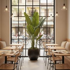 Chậu chuối giả trang trí cao 2 mét (kèm chậu)