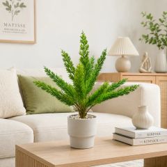 Chậu cây đuôi chồn lá kim giả để bàn trang trí