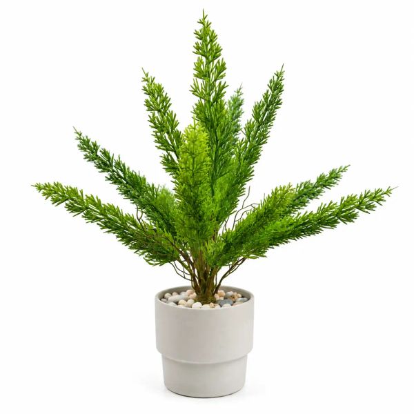 Chậu cây đuôi chồn lá kim giả để bàn trang trí