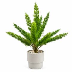 Chậu cây đuôi chồn lá kim giả để bàn trang trí