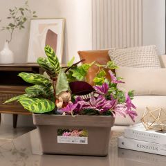 Chậu cây giả decor để bàn phối tiểu cảnh nhỏ