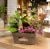 chậu cây nhỏ để bàn phối tiểu cảnh decor cửa hàng