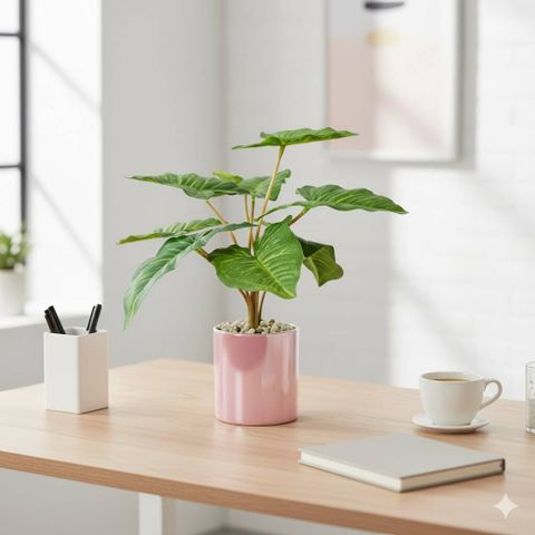 Chậu cây Philodendron giả để bàn