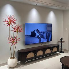 Cây phát tài núi lá đỏ trang trí