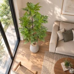 Chậu cây sơn mài giả cao 2 mét