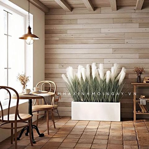 hộp cây cỏ bông lau giả trang trí cửa hàng