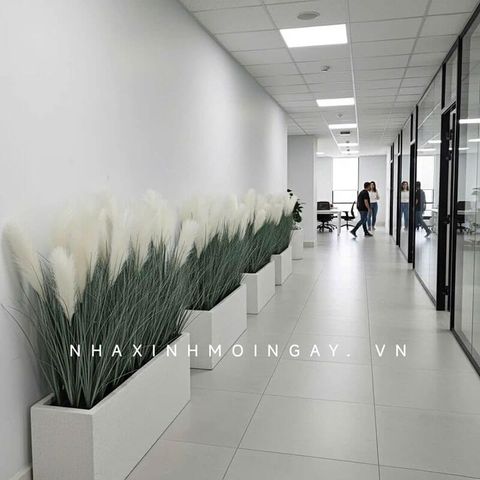 Hộp cây cỏ bông lau giả trang trí