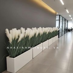Hộp cây cỏ bông lau giả trang trí