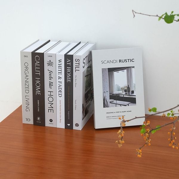sách giả hiện đại chữ tiềng anh hiện đại
