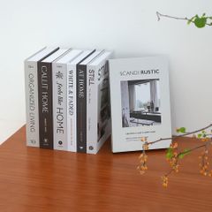 Sách giả carton hiện đại trang trí nhà mẫu