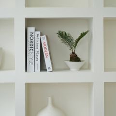 Sách giả carton hiện đại trang trí nhà mẫu