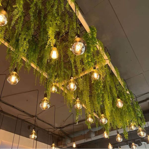 Tiểu cảnh dây lá rũ treo trần decor quán cafe nhà hàng