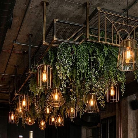 Tiểu cảnh dây lá rũ treo trần decor quán cafe nhà hàng