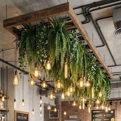 Tiểu cảnh dây lá rũ treo trần decor quán cafe nhà hàng