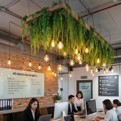 Tiểu cảnh dây lá rũ treo trần decor quán cafe nhà hàng