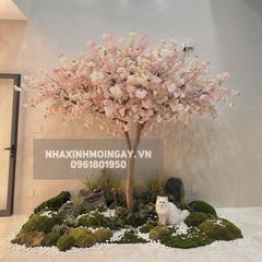 Cây hoa anh đào giả thân gỗ cao 3m