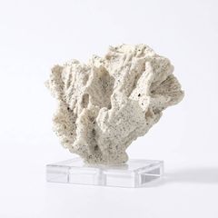 Tượng san hô decor đế pha lê 02