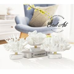 Tượng san hô trang trí kệ phòng khách