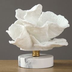 Tượng san hô trang trí kệ phòng khách