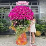  Chậu hoa lan đỏ chúc mừng siêu đẹp LHD-841 