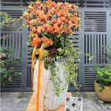  Chậu hoa lan hồ điệp cam đỏ LHD 