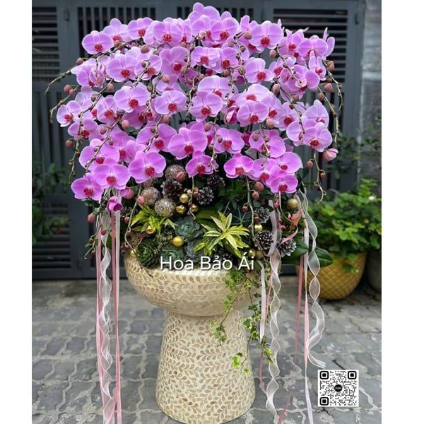  Chậu lan đẹp LHD-837 