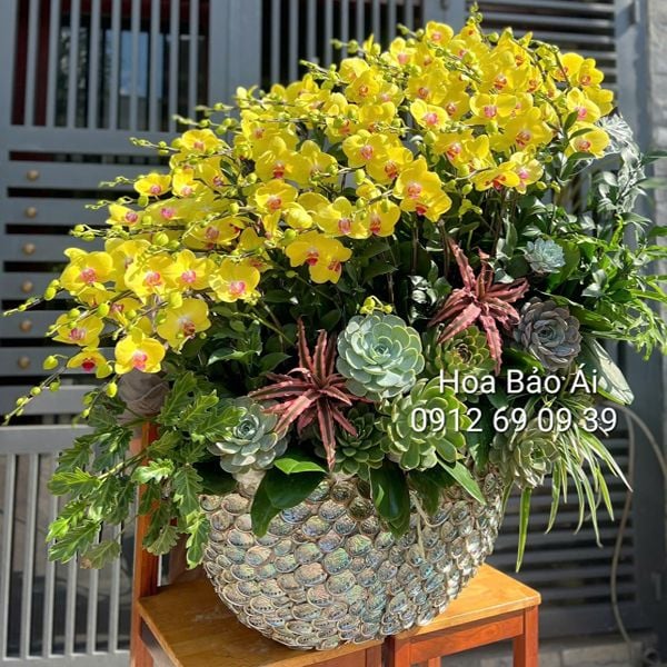  Thuyền hoa lan thuận buồm xuôi gió ( SANG TRỌNG - ĐẲNG CẤP) 