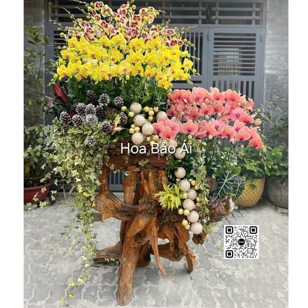  Lũa hoa lan chúc mừng VIP LHD-832 