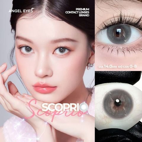 Lens xám áp tròng 1 ngày SCOPRIO - nhãn hiệu Angel Eyes - Độ cận 0-8 - Dia 14.0mm