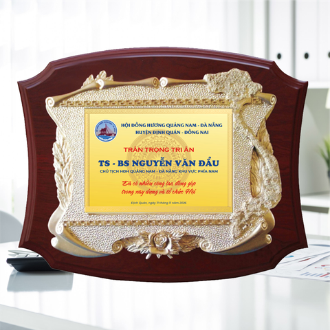 Kỷ niệm chương gỗ tri ân trong nhiều hoạt động phong trào xã hội
