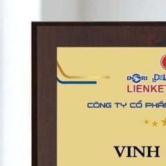 Bảng vinh danh tặng tập thể cá nhân trong những hoạt động của tổ chức doanh nghiệp