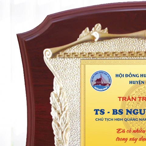 Kỷ niệm chương gỗ tri ân trong nhiều hoạt động phong trào xã hội