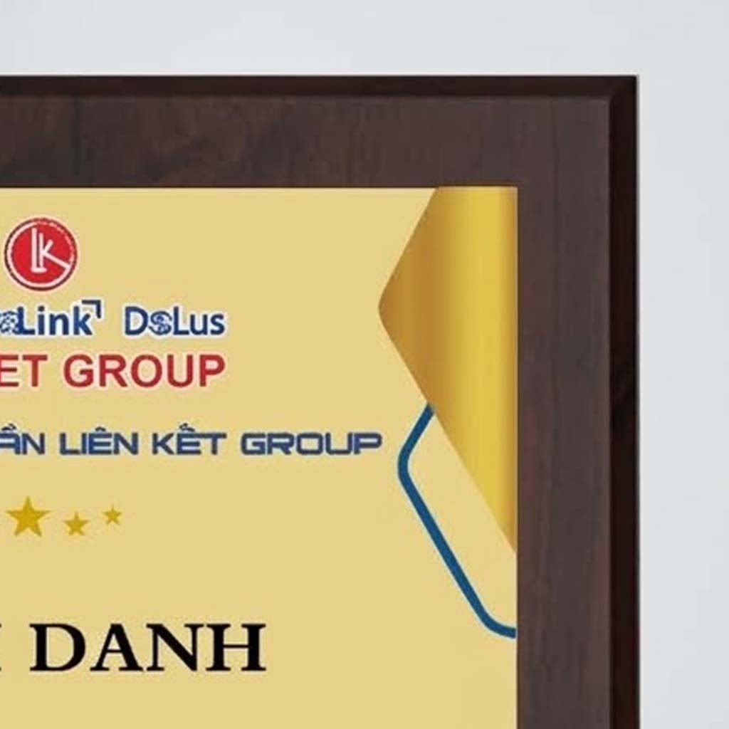 Bảng vinh danh tặng tập thể cá nhân trong những hoạt động của tổ chức doanh nghiệp