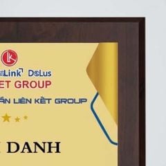 Bảng vinh danh tặng tập thể cá nhân trong những hoạt động của tổ chức doanh nghiệp