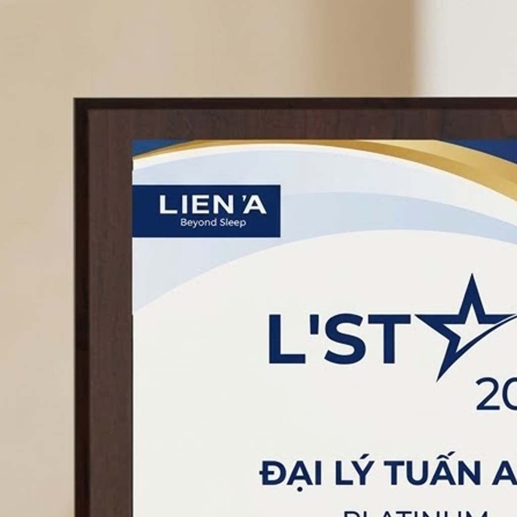 Bảng chứng nhận đại lý bán hàng chính hãng phù hợp ngành hàng đồ dùng gia đình nội thất