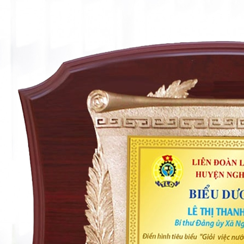 Kỷ niệm chương gỗ tặng biểu dương điển hình tiêu biểu 