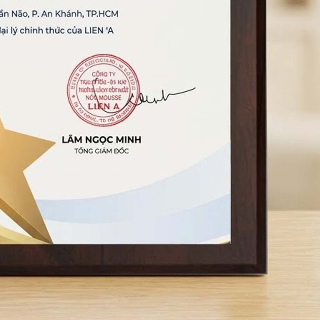 Bảng chứng nhận đại lý bán hàng chính hãng phù hợp ngành hàng đồ dùng gia đình nội thất