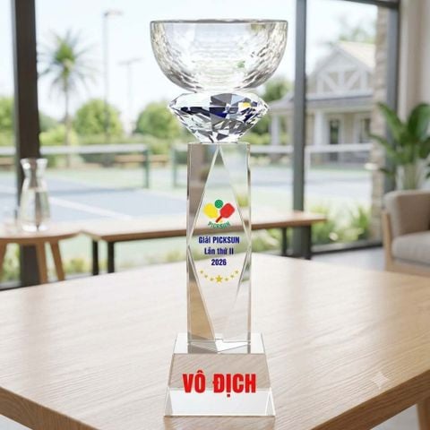 Cúp Pickleball pha lê khối kim cương trao giải nhất nhì ba ở những giải pickleball